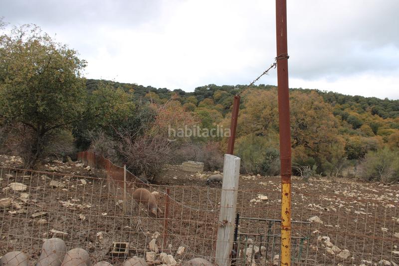 Foto d1025c32-f1db-4018-be1a-60638f1fc99f. Casa amb aparcament piscina a Montejaque