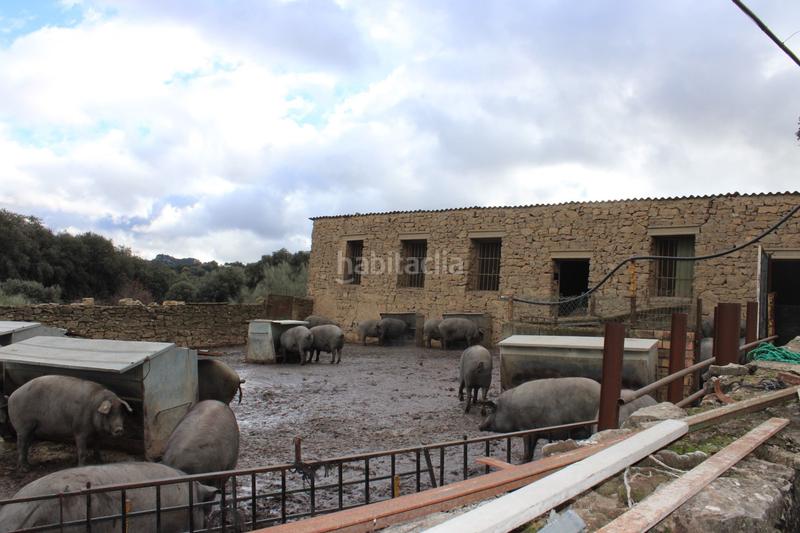 Foto e6849bab-f098-4fe3-b114-c13f4c6153ef. Casa amb aparcament piscina a Montejaque