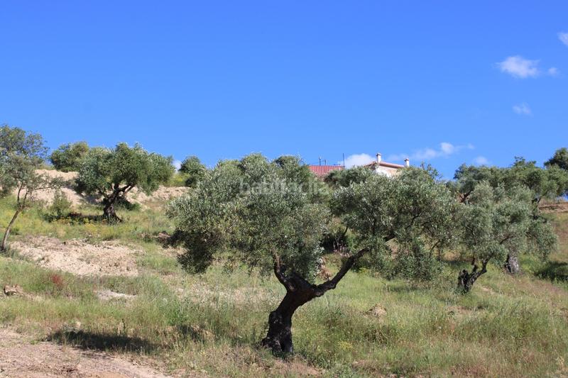 Foto 01612531-dd44-44d2-902f-a6fa0343cc96. House with parking pool in La Ciudad Ronda