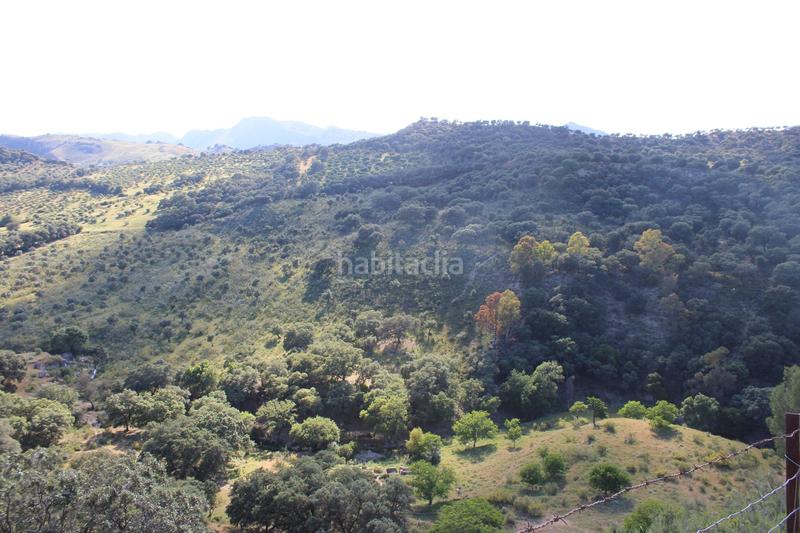 Foto 03a6a380-3e33-4a82-af96-d4e767a360f3. House with parking pool in La Ciudad Ronda