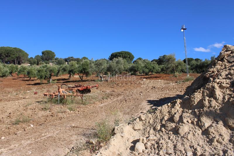 Foto 29fecf48-c010-4aeb-bfc0-82253b141c17. House with parking pool in La Ciudad Ronda