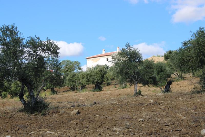 Foto 2bb2c28e-4c97-4b55-9452-2e9495ab7e60. House with parking pool in La Ciudad Ronda