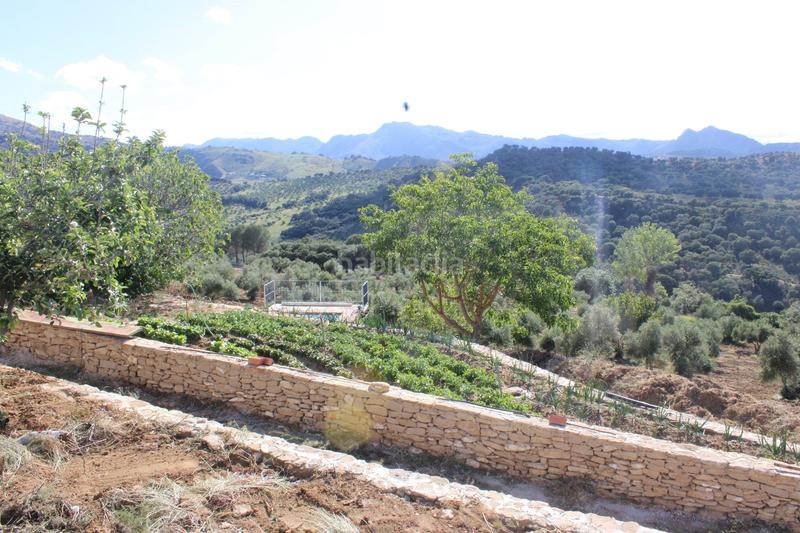 Foto 579ff674-92f9-4687-a22b-89394f68554c. House with parking pool in La Ciudad Ronda