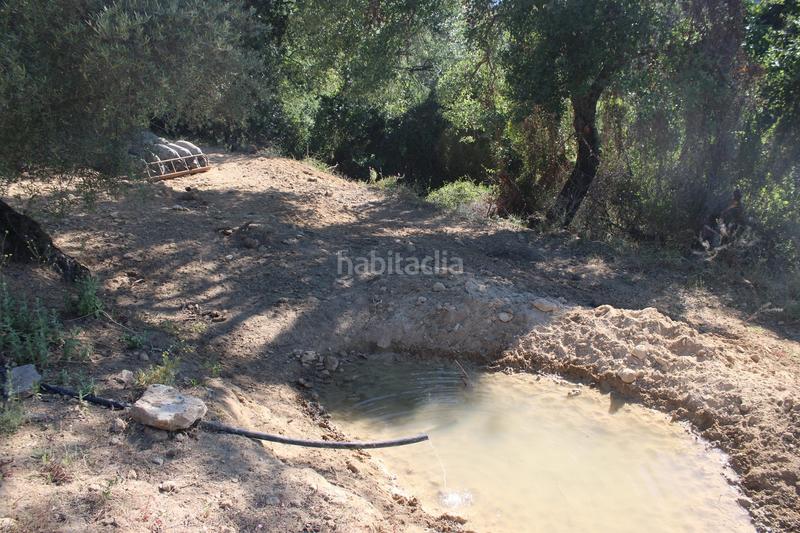 Foto 88dd0937-0aa8-4032-8f1b-32420d1e2080. House with parking pool in La Ciudad Ronda