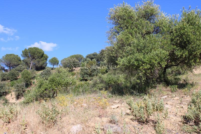 Foto 916a0611-012d-411a-bda4-5c088318269a. House with parking pool in La Ciudad Ronda