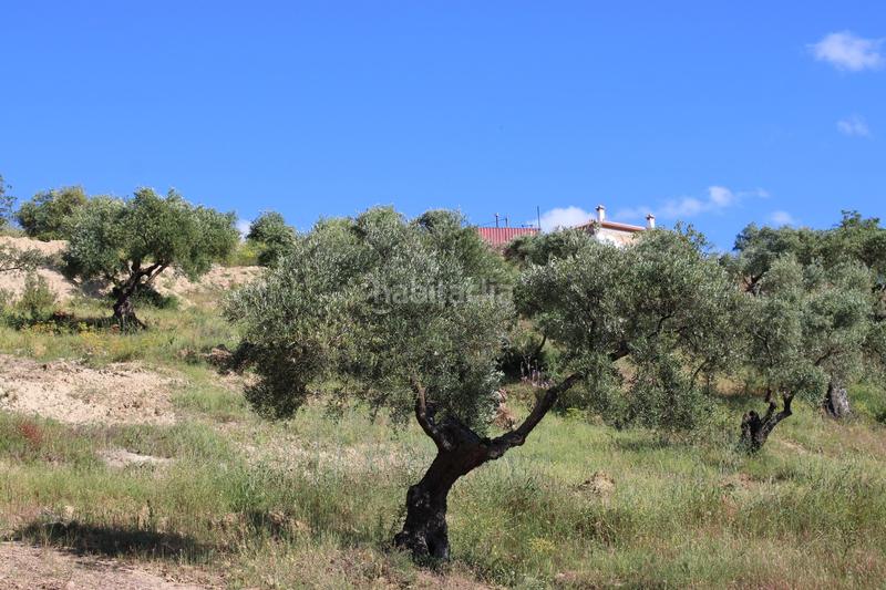 Foto a530da4e-e196-44e2-b013-47bf0b421127. House with parking pool in La Ciudad Ronda