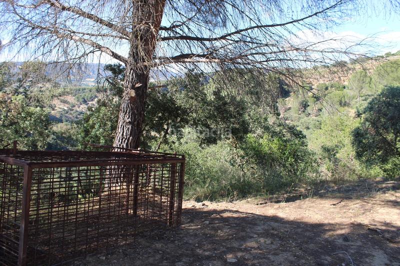 Foto ba0f0469-1366-40c1-a9ad-bf3c5a07ce36. House with parking pool in La Ciudad Ronda