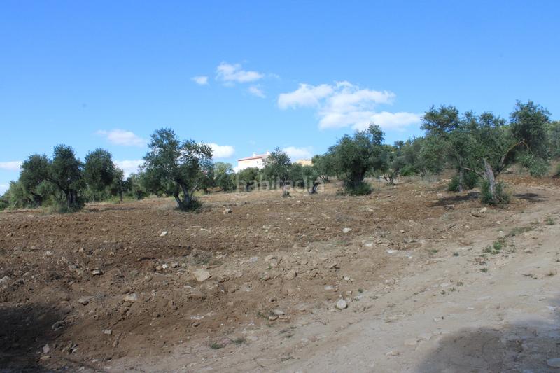 Foto c7ceca38-ce78-482e-b149-cb583fc37744. House with parking pool in La Ciudad Ronda