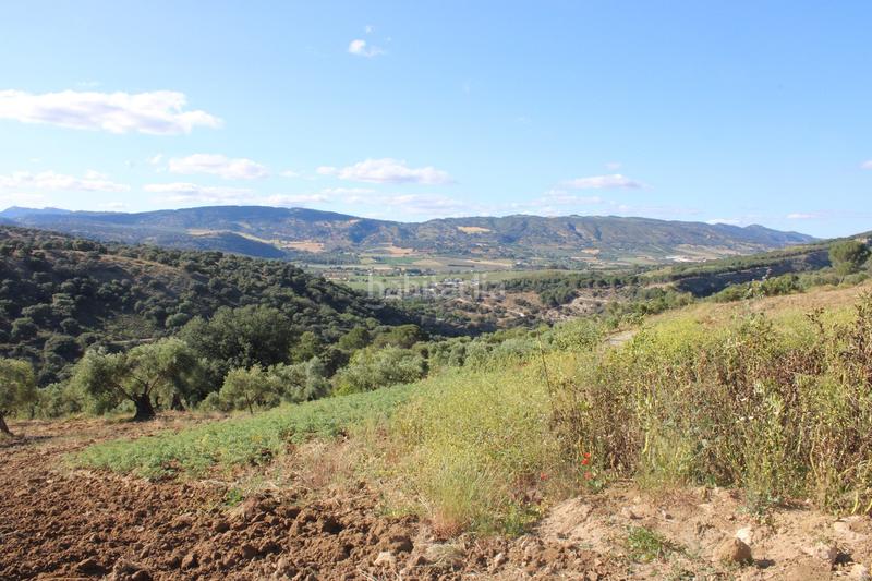 Foto ca72a287-ccd9-43bd-8957-22955f80f700. House with parking pool in La Ciudad Ronda