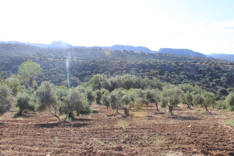 Foto cd9a56a6-e411-4cc5-bdbf-17db60a190bf. House with parking pool in La Ciudad Ronda