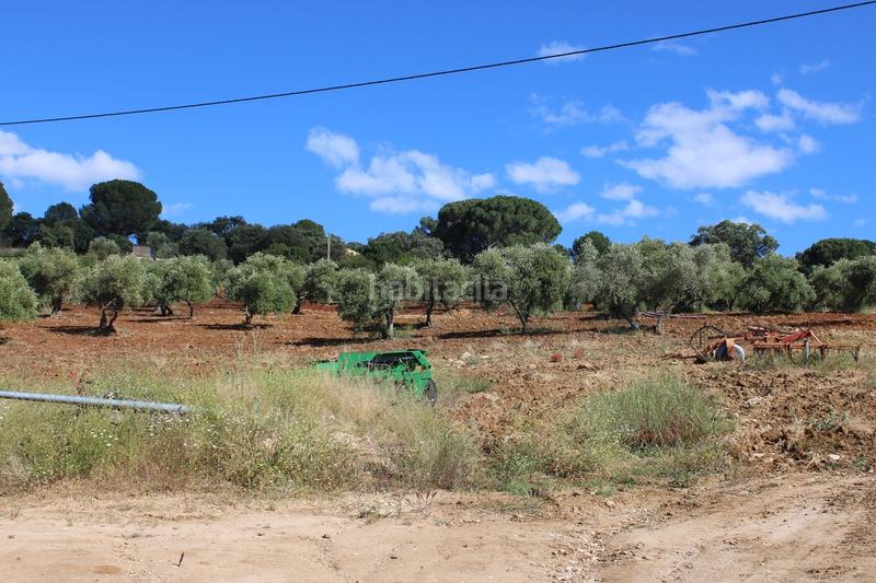 Foto df35082f-d81d-4cae-93dd-e752e049d337. House with parking pool in La Ciudad Ronda