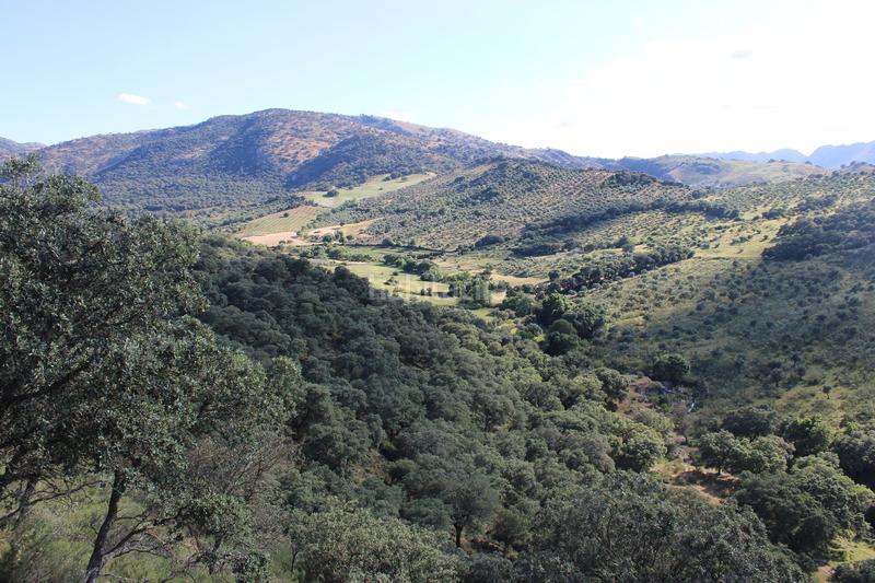 Foto e368a002-8bca-4e0b-be94-de44fe9bc050. House with parking pool in La Ciudad Ronda