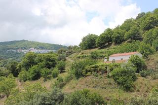 Casa  Cartajima, vale genal alto. Hermosa finca con 20 hectareas de terreno a solo 10 minutos de c