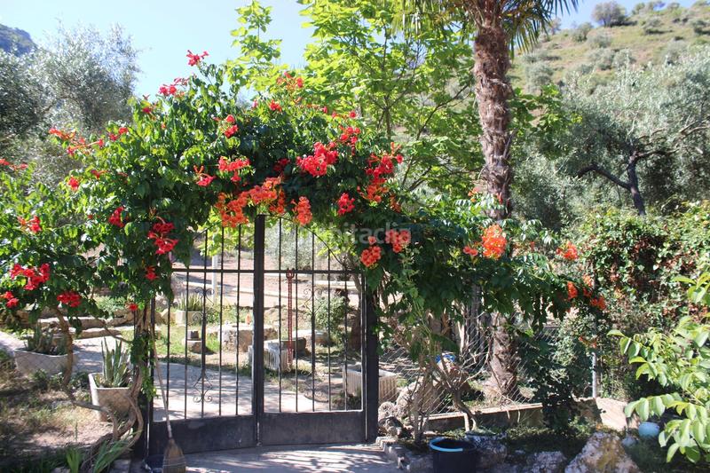 Foto 264c759b-6fff-412d-9b1c-abdd30ce2232. Casa amb aparcament piscina a Zahara