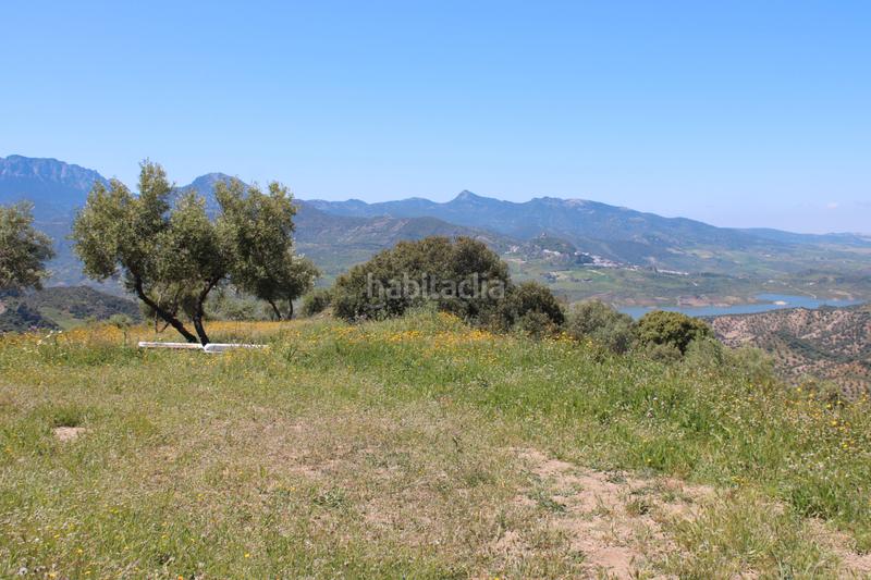 Foto 138bb936-90c2-49d5-9c2f-d8f3d58e1c84. Finca rústica en calle veterin 10 oferta solo para septiembre y octubre! reducido desde 155.000€ en Gastor (El)