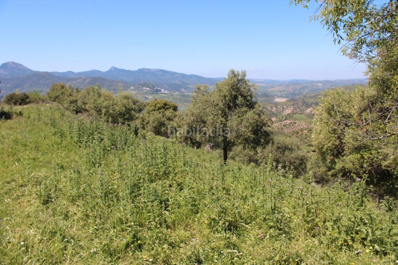 Foto 29cb8690-d850-4806-9cad-52ec90ee4bc3. Finca rústica en calle veterin 10 oferta solo para septiembre y octubre! reducido desde 155.000€ en Gastor (El)
