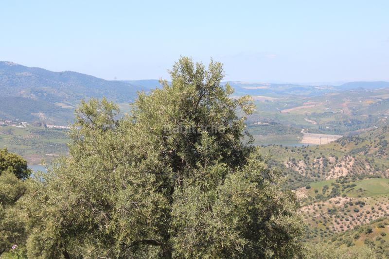 Foto 5089fe99-69de-4427-874f-866cd59c4594. Finca rústica en calle veterin 10 oferta solo para septiembre y octubre! reducido desde 155.000€ en Gastor (El)