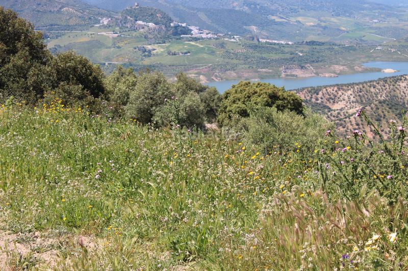 Foto 69d1c438-7e65-437a-b6ef-ea3e0a3d57a4. Finca rústica en calle veterin 10 oferta solo para septiembre y octubre! reducido desde 155.000€ en Gastor (El)
