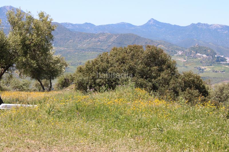 Foto 758fe804-040c-4ef5-8907-e24e37ee2cd7. Finca rústica en calle veterin 10 oferta solo para septiembre y octubre! reducido desde 155.000€ en Gastor (El)