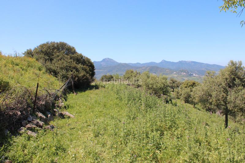 Foto ca3338ed-2e3c-46e5-b3a6-042afe2275eb. Finca rústica en calle veterin 10 oferta solo para septiembre y octubre! reducido desde 155.000€ en Gastor (El)