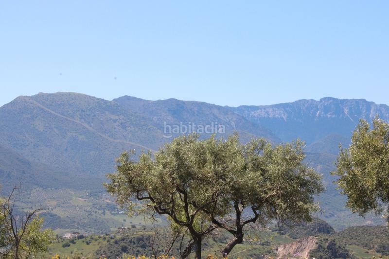 Foto ccb9a108-e1f3-4432-b9cb-b6976571937d. Finca rústica en calle veterin 10 oferta solo para septiembre y octubre! reducido desde 155.000€ en Gastor (El)