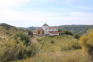 Masia a Se-458 38b. Cortijo único en andalucía con lago, olivar y terreno de caza