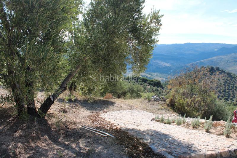 Foto 2a28bcc5-7bef-4c32-87c6-99a51cbef6ed. Finca rústica a ca-0419 1914 a Gastor (El)