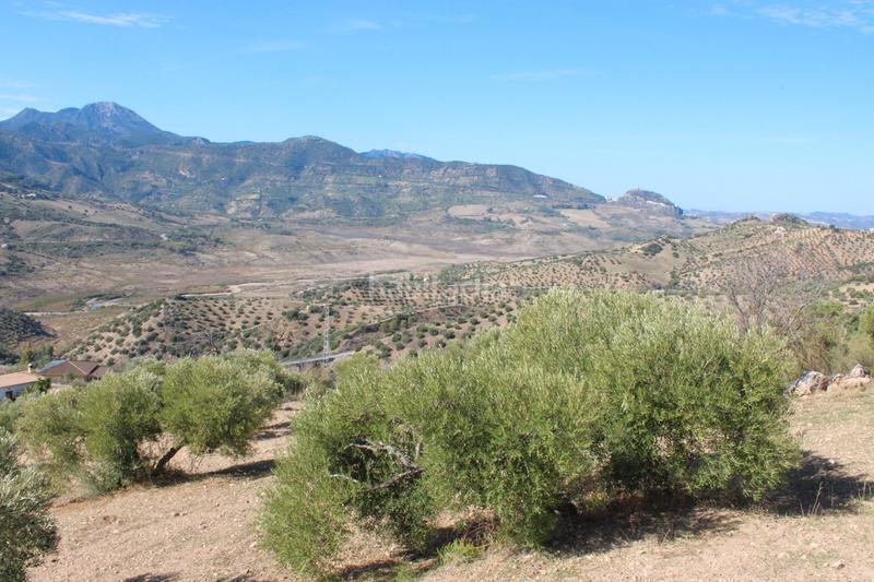Foto 6b1a2dcd-de55-4360-a6c1-a1ad8acd1ff3. Finca rústica a ca-0419 1914 a Gastor (El)
