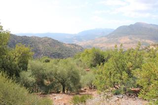 Masia a Ca-4223 18. Impresionante ubicación con vistas panorámicas al campo y a las