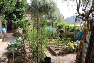 Masia a Calle cantillo 13. Casa con jardin en el pueblo de benaojan