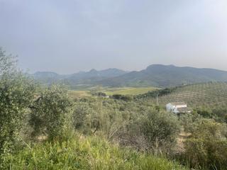 Masia a Lugar finca el tejar 1. Bonita propiedad de campo con amplio terreno y huerto de frutas