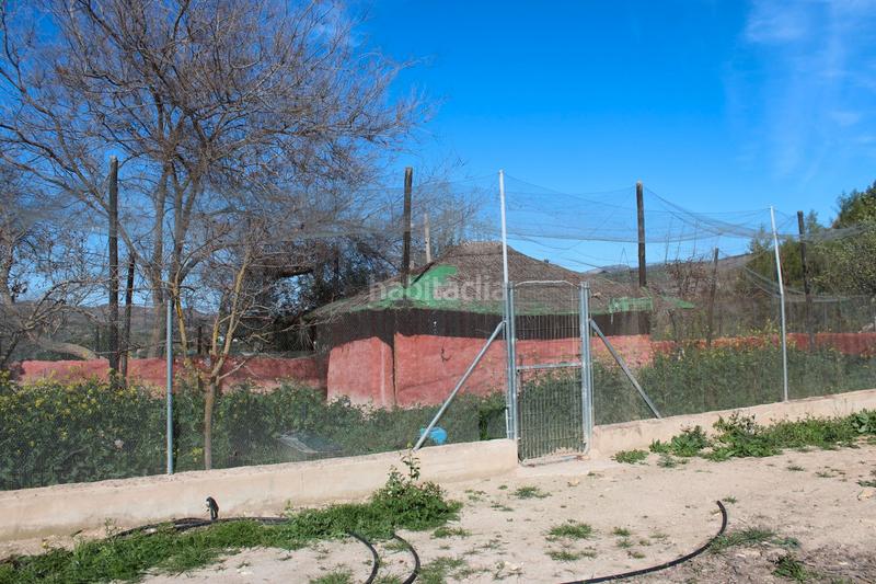 Foto 3ffaf78d-6f36-4311-acd4-1fcb2b917617. Mas dans calle nueva 25 dans Burgo (El)