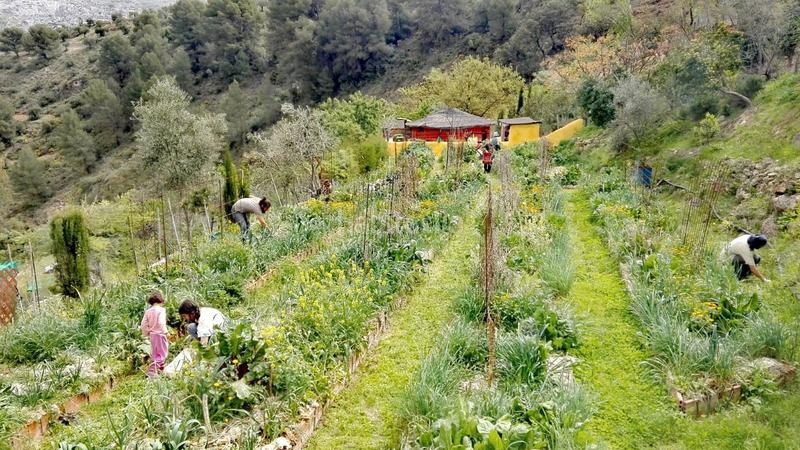 Foto e35eb545-42da-4aaf-9d1f-2386e5466593. Mas dans calle nueva 25 dans Burgo (El)