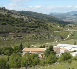Masía en A-369 189. 950 hectáreas de terreno, 3000 metros cuadrados construidos y ex