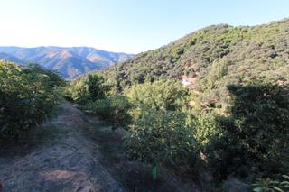 Finca rústica  Pasaje corralon el 26. Hermosa parcela junto al río en venta en júzcar