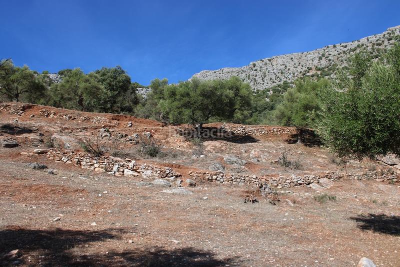 Foto 3a0bc45f-7eb5-40f2-944e-d76e519f942a. Casa propiedad en venta con un gran potencial propiedad con un gran potencial en la zona , a tan solo 15 minutos en coche de en Benaoján