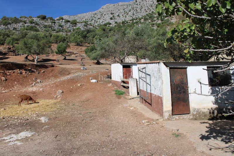 Foto 49bd7ce9-42ff-4574-a124-ff9f8183bb7f. Casa propiedad en venta con un gran potencial propiedad con un gran potencial en la zona , a tan solo 15 minutos en coche de en Benaoján