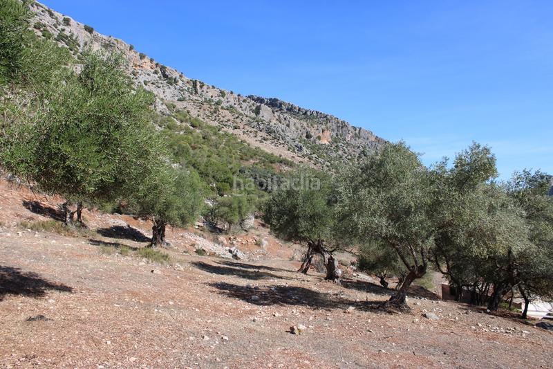 Foto 4b6823f3-0e99-48eb-ba14-b2a5f0fcb7a9. Casa propiedad en venta con un gran potencial propiedad con un gran potencial en la zona , a tan solo 15 minutos en coche de en Benaoján