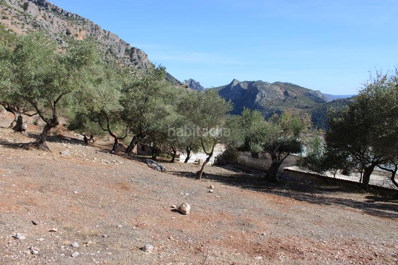 Foto 4bd518ff-6f9d-4bd1-9f76-8eea347f709c. Casa propiedad en venta con un gran potencial propiedad con un gran potencial en la zona , a tan solo 15 minutos en coche de en Benaoján