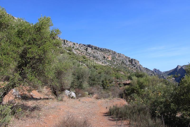 Foto 6a64d259-2899-419d-b3bd-37f3f25a59ea. Casa propiedad en venta con un gran potencial propiedad con un gran potencial en la zona , a tan solo 15 minutos en coche de en Benaoján