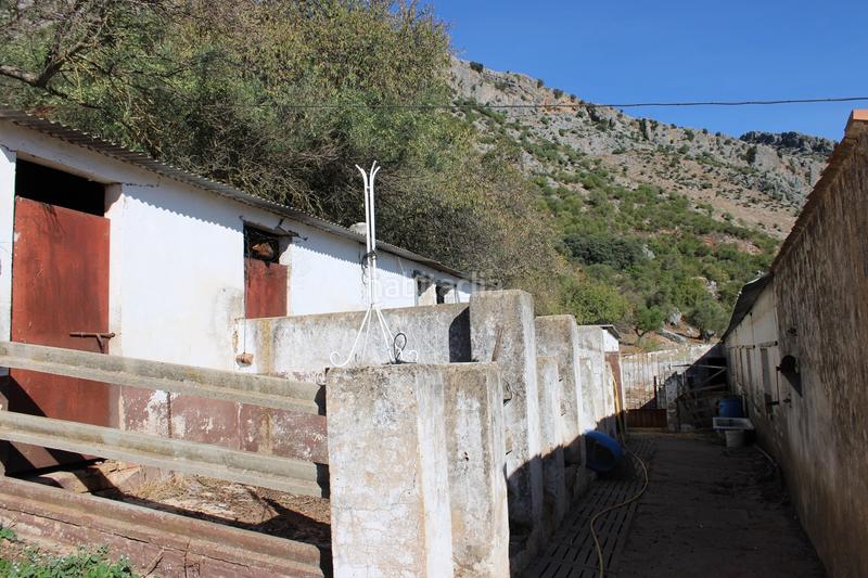 Foto b68aed98-7c76-482f-9c72-6930f39446a0. Casa propiedad en venta con un gran potencial propiedad con un gran potencial en la zona , a tan solo 15 minutos en coche de en Benaoján