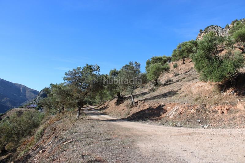Foto ec805730-9457-4409-b987-26cc5835bf9c. Casa propiedad en venta con un gran potencial propiedad con un gran potencial en la zona , a tan solo 15 minutos en coche de en Benaoján