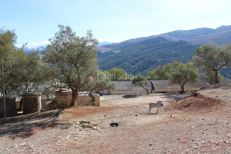 Foto ee47916c-150e-42c4-a451-37ea31623b33. Casa propiedad en venta con un gran potencial propiedad con un gran potencial en la zona , a tan solo 15 minutos en coche de en Benaoján