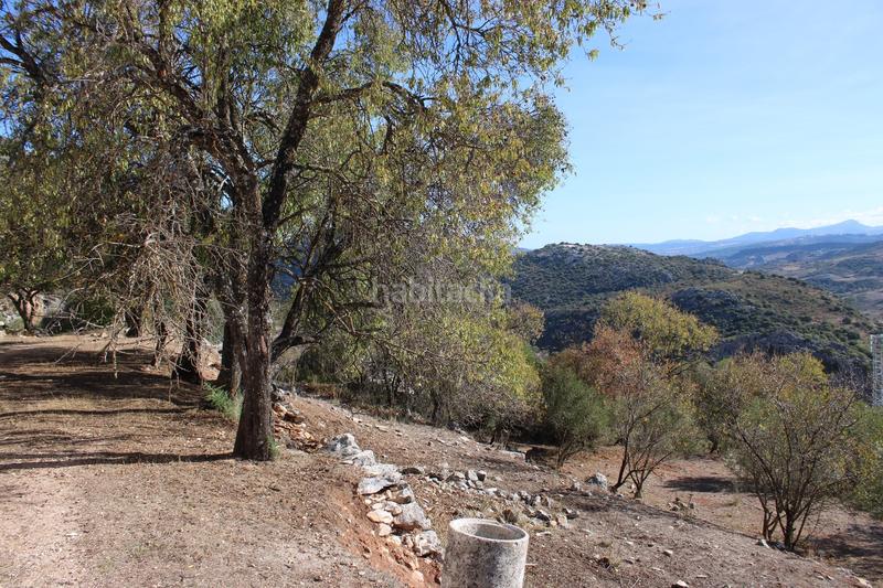 Foto f7b640ae-e9ac-4c9e-8f99-e1347b9daf36. Casa propiedad en venta con un gran potencial propiedad con un gran potencial en la zona , a tan solo 15 minutos en coche de en Benaoján