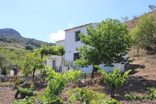 Casa  La donaira, el gastor. Finca con encanto con viñas cerca de el gastorubicada justo deba