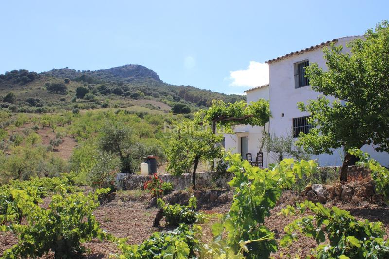 Foto 01fb942b-7999-4ffa-a4e7-91211ba1a5e0. Casa a Partidas Norte Ronda