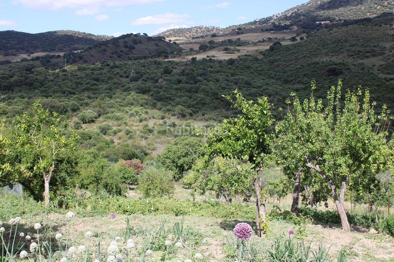 Foto 0931b626-9d81-45e1-92a0-18709f73084b. Casa a Partidas Norte Ronda