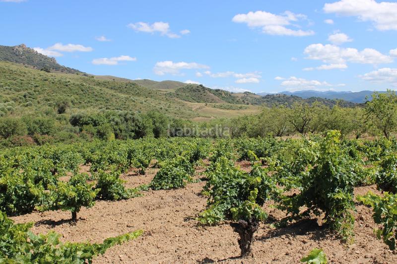 Foto 28a15b24-be9b-49ef-a78e-681c3445e94d. Casa a Partidas Norte Ronda