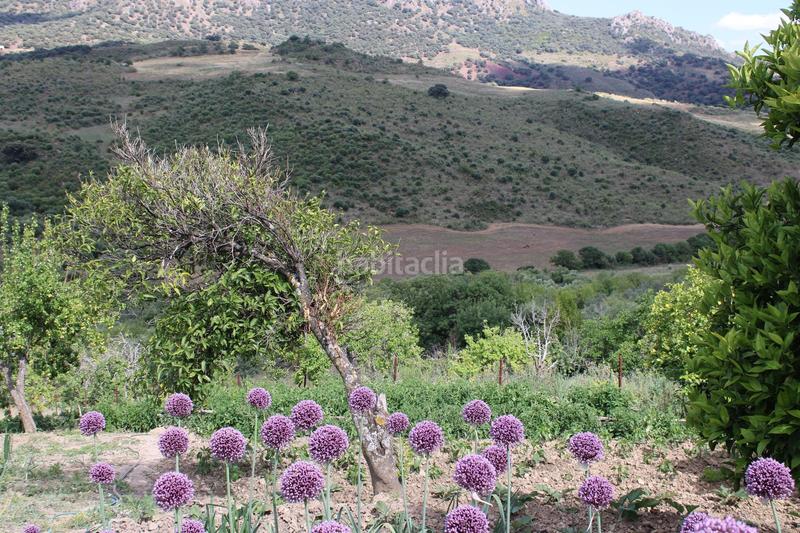 Foto 29e27789-f4a5-419c-90a8-555f38bdd801. Casa a Partidas Norte Ronda