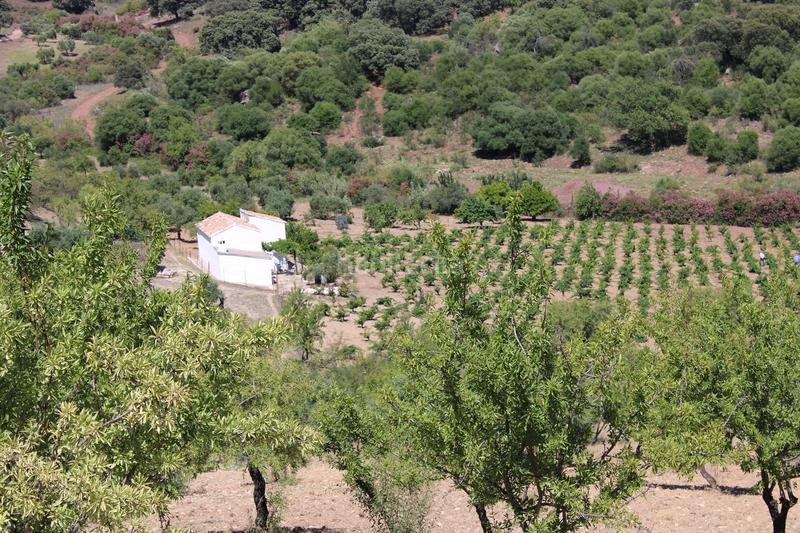 Foto 3166402e-5cbe-479f-94f8-b9f9dece18ca. Casa a Partidas Norte Ronda